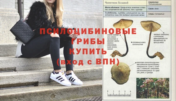 каннабис Верея