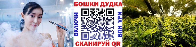 блэк спрут как зайти  Качканар  Бошки Шишки White Widow  купить наркотики цена 